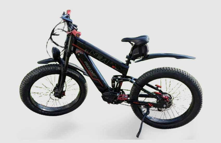 FREESKY Dual Battery Electric Mountain Bike