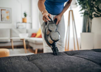 BISSELL Little Green Portable Vacuum Cleaner Review of 2025