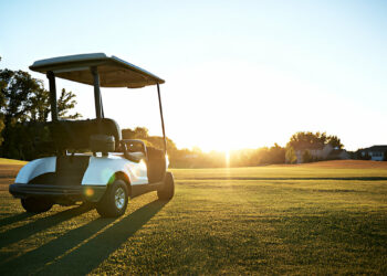 MGI Zip Navigator All Terrain Electric Golf Cart