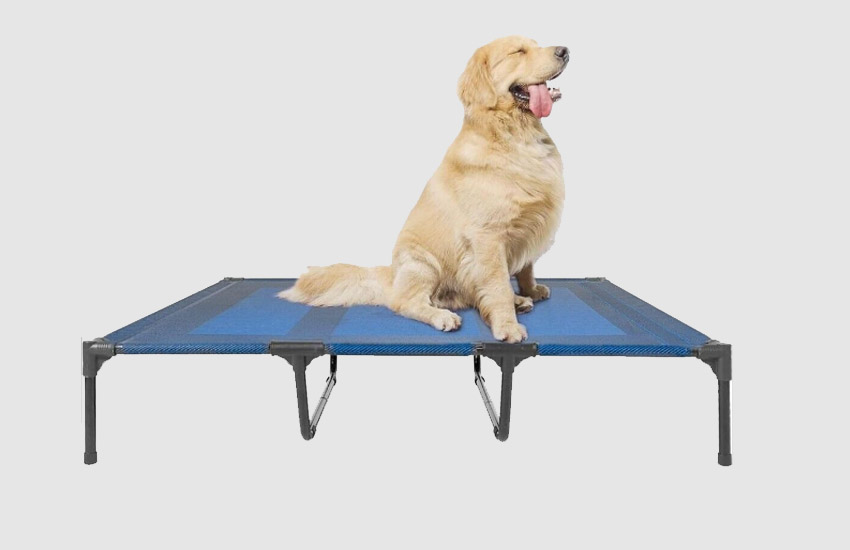 Suddus Elevated Dog Bed for Large Dogs