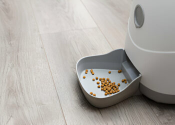 Should you Get an Automatic Pet Feeder for your Dog or Cat?