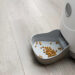 Should you Get an Automatic Pet Feeder for your Dog or Cat?
