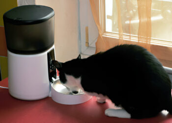 Yakry Automatic Pet Feeder 8L/33 Cups Review of 2025