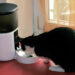 Yakry Automatic Pet Feeder 8L/33 Cups Review of 2025
