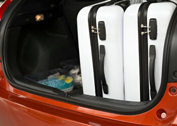 FORTEM Car Trunk Organizer: A Comprehensive Review of 2025