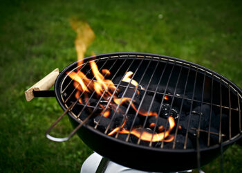 Weber Go-Anywhere Charcoal Grill: A Comprehensive Review of 2025