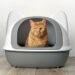 Modkat Cat Litter Box Top or Front-Entry Review of 2025