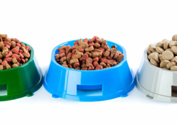 PETLIBRO Automatic Cat Feeder with Camera for Two Cats Review of 2025