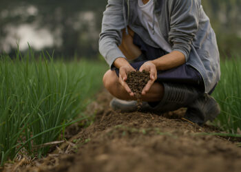 Vitamix Food Cycler FC-50-SP: A Comprehensive Review of 2025