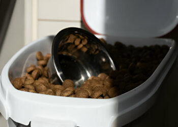 Automatic Pet Feeder
