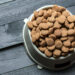 How to Choose an Automatic Pet Feeder