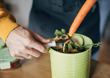 Sustainable Practices Into Your Kitchen