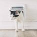 SureFlap-Sure-Petcare-Microchip-Cat-Flap