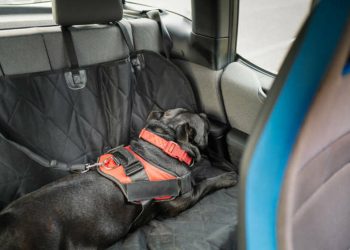 URPOWER-Back-Seat-Extender-for-Dogs