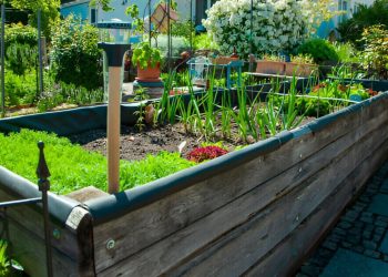 Raised-Garden-Bed